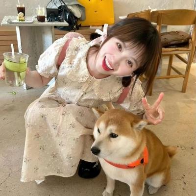 老虎队封面