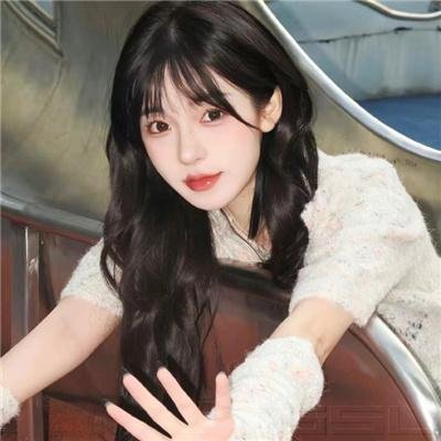 汽车女窃贼封面